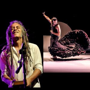 DÍA MUNDIAL DEL FLAMENCO